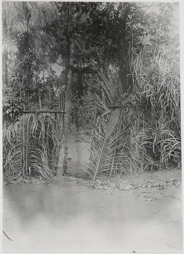 Historic photo from Northcote W. Thomas archive